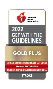 GWTG Gold Plus Award icon 
