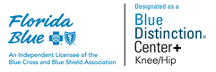 Blue Distinction Hip and Knee award logo 