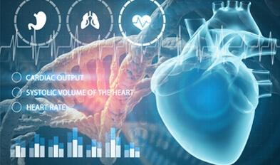 Heart and Vascular Research Phases